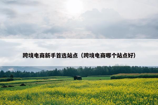 跨境电商新手首选站点（跨境电商哪个站点好）