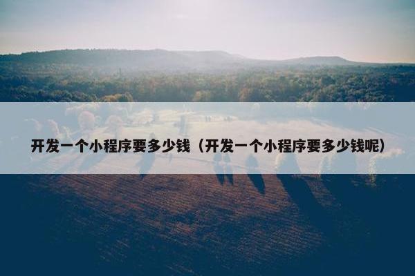 开发一个小程序要多少钱(开发一个小程序要多少钱呢)