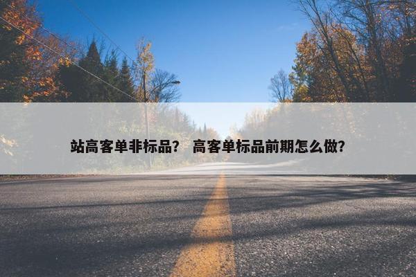 站高客单非标品? 高客单标品前期怎么做?