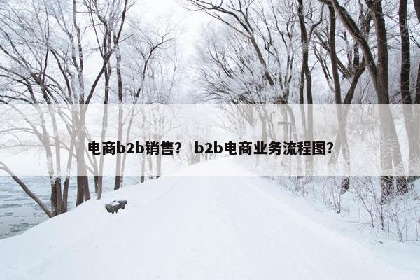电商b2b销售？ b2b电商业务流程图？
