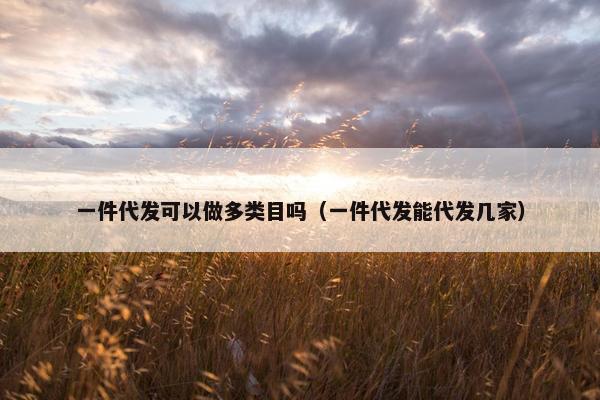 一件代发可以做多类目吗（一件代发能代发几家）