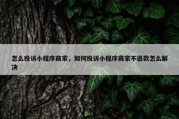 怎么投诉小程序商家,如何投诉小程序商家不退款怎么解决