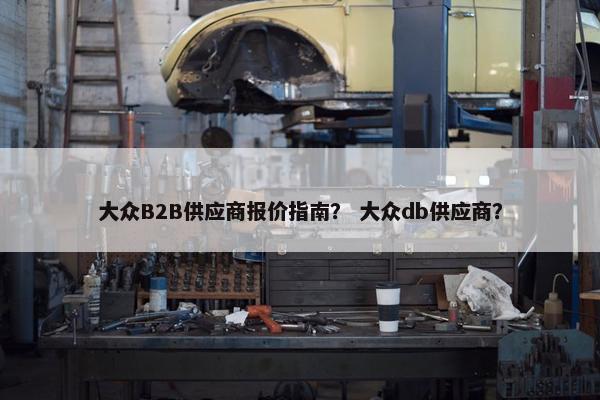 大众B2B供应商报价指南？ 大众db供应商？