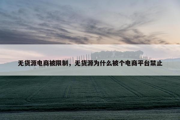 无货源电商被限制,无货源为什么被个电商平台禁止