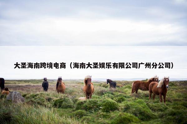 大圣海南跨境电商(海南大圣娱乐有限公司广州分公司)