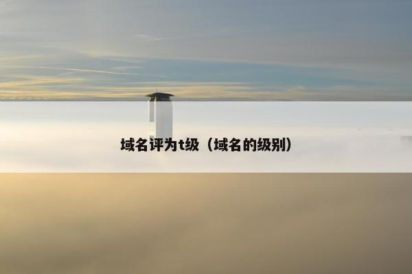 域名评为t级(域名的级别)