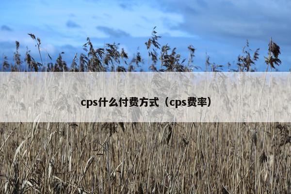 cps什么付费方式(cps费率)