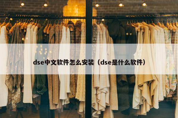 dse中文软件怎么安装（dse是什么软件）