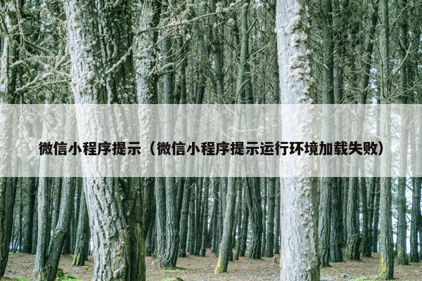 微信小程序提示（微信小程序提示运行环境加载失败）
