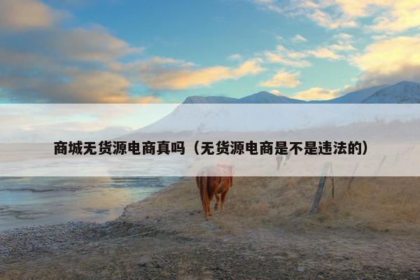 商城无货源电商真吗（无货源电商是不是违法的）