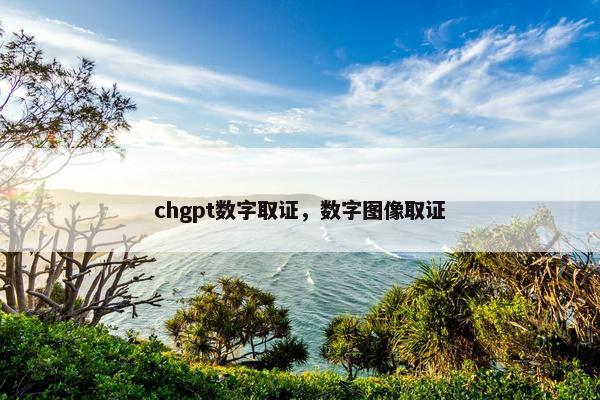 chgpt数字取证，数字图像取证