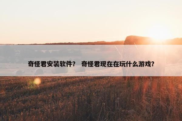 奇怪君安装软件？ 奇怪君现在在玩什么游戏？