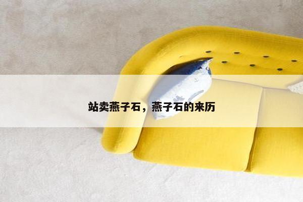 站卖燕子石，燕子石的来历