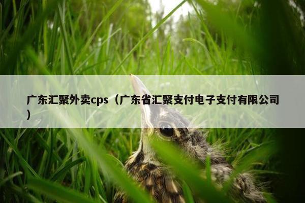 广东汇聚外卖cps（广东省汇聚支付电子支付有限公司）