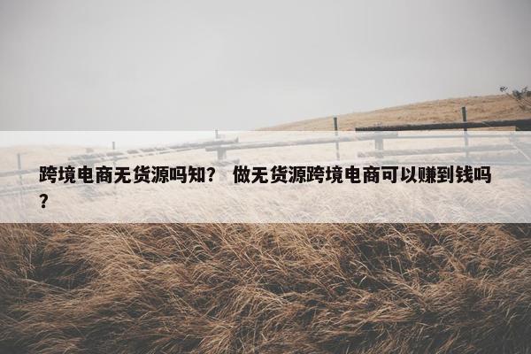 跨境电商无货源吗知？ 做无货源跨境电商可以赚到钱吗？