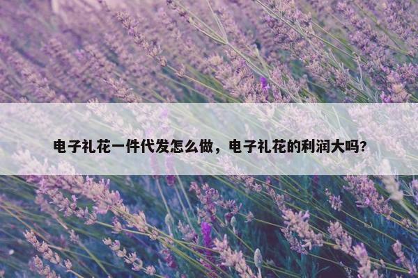 电子礼花一件代发怎么做，电子礼花的利润大吗?