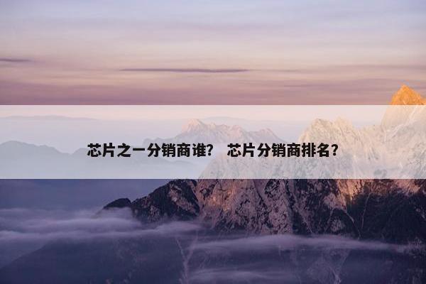 芯片之一分销商谁? 芯片分销商排名?