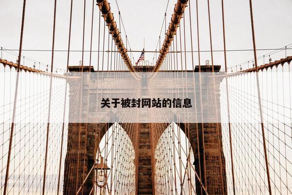 关于被封网站的信息