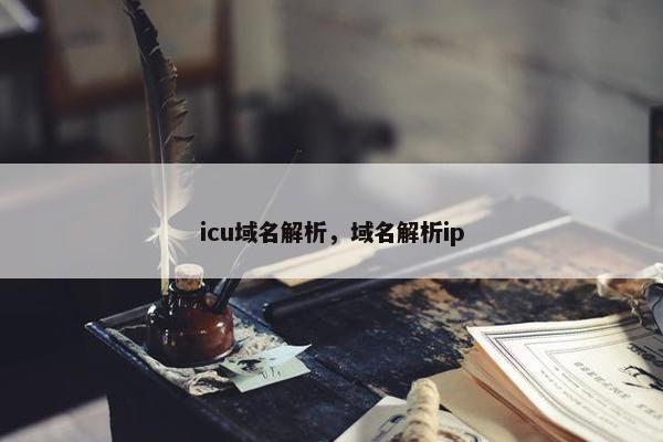 icu域名解析，域名解析ip