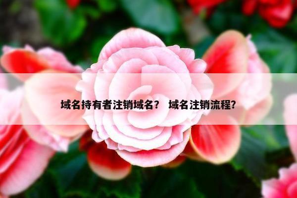 域名持有者注销域名？ 域名注销流程？