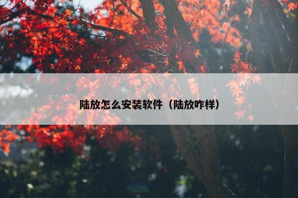 陆放怎么安装软件（陆放咋样）