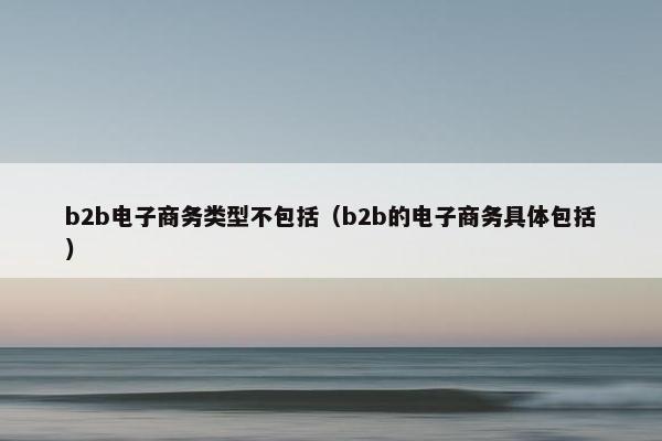 b2b电子商务类型不包括（b2b的电子商务具体包括）