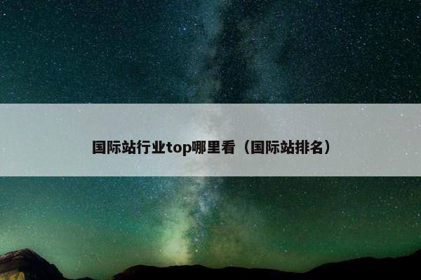 国际站行业top哪里看(国际站排名)