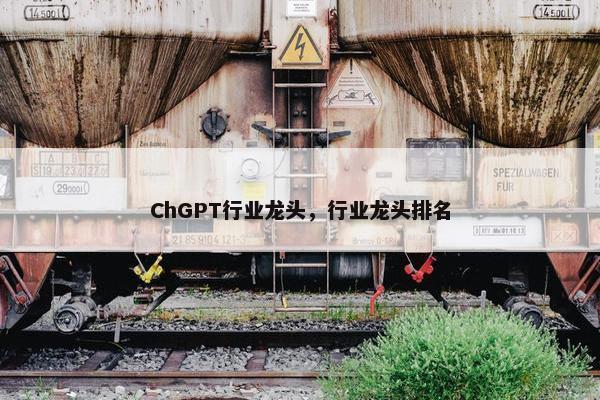 ChGPT行业龙头，行业龙头排名