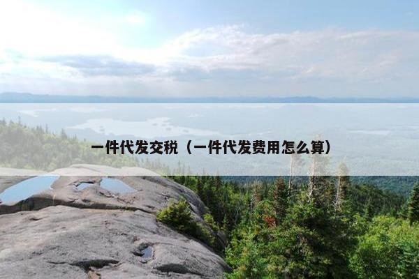 一件代发交税（一件代发费用怎么算）