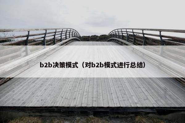 b2b决策模式（对b2b模式进行总结）