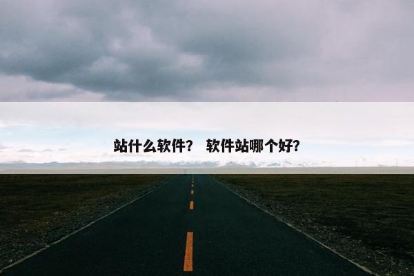 站什么软件？ 软件站哪个好？