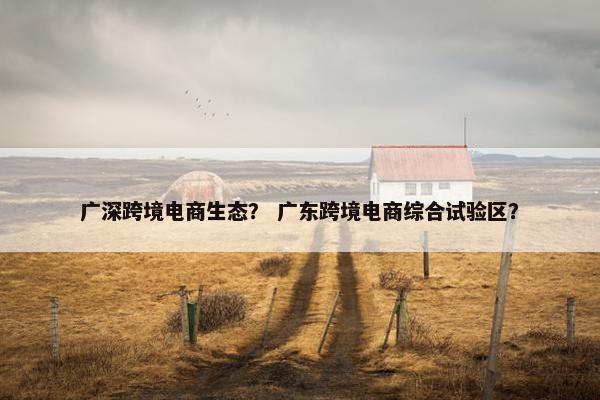 广深跨境电商生态？ 广东跨境电商综合试验区？