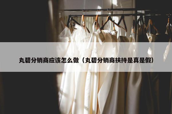 丸碧分销商应该怎么做（丸碧分销商扶持是真是假）