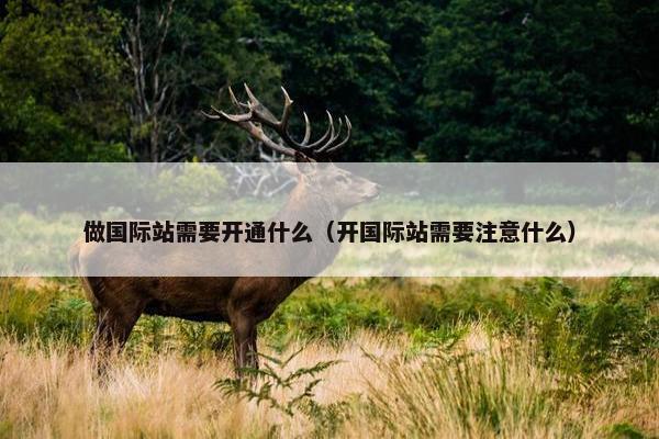 做国际站需要开通什么（开国际站需要注意什么）