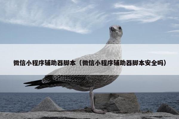 微信小程序辅助器脚本（微信小程序辅助器脚本安全吗）