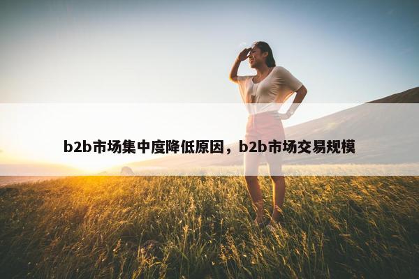 b2b市场集中度降低原因，b2b市场交易规模