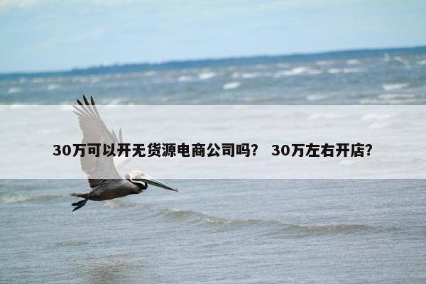 30万可以开无货源电商公司吗？ 30万左右开店？