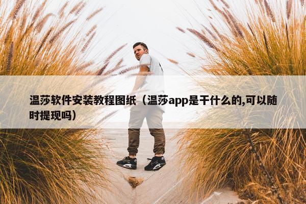 温莎软件安装教程图纸（温莎app是干什么的,可以随时提现吗）