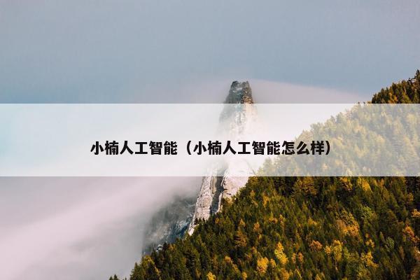 小楠人工智能（小楠人工智能怎么样）