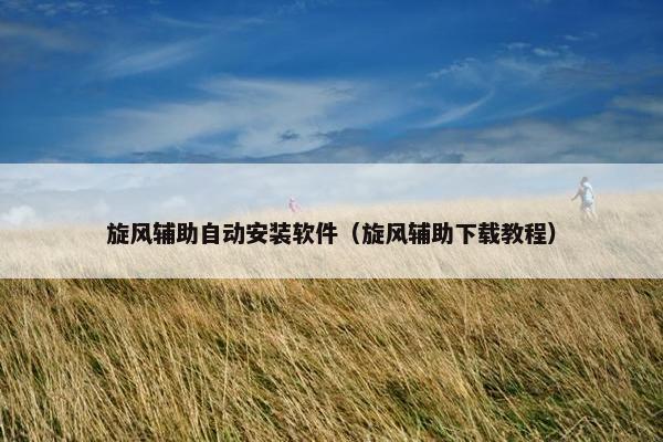旋风辅助自动安装软件（旋风辅助下载教程）