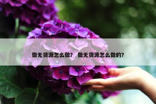 做无货源怎么做？ 做无货源怎么做的？