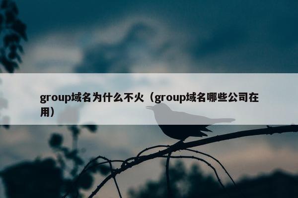 group域名为什么不火（group域名哪些公司在用）