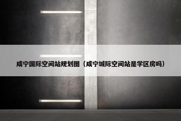 咸宁国际空间站规划图（咸宁城际空间站是学区房吗）