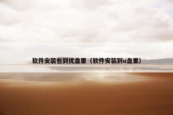 软件安装包到优盘里（软件安装到u盘里）