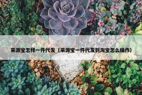 采源宝怎样一件代发（采源宝一件代发到淘宝怎么操作）