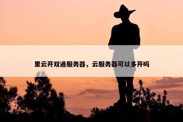 里云开双通服务器，云服务器可以多开吗