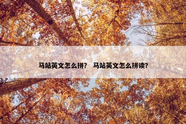 马站英文怎么拼？ 马站英文怎么拼读？