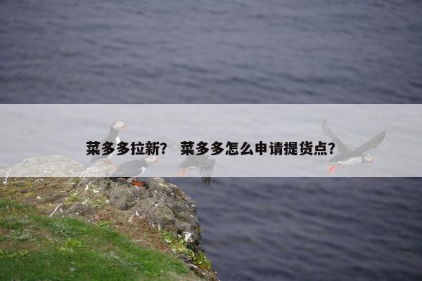 菜多多拉新？ 菜多多怎么申请提货点？