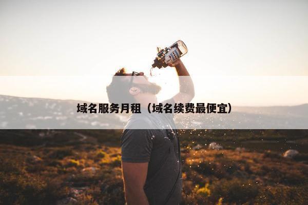 域名服务月租（域名续费最便宜）