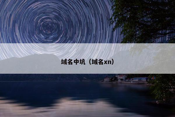 域名中坑（域名xn）